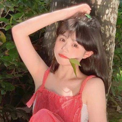 坦克前线草花版下载